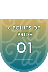 6 POINTS OF  PRIDE01