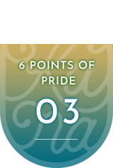 6 POINTS OF  PRIDE03