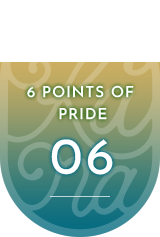 6 POINTS OF  PRIDE06