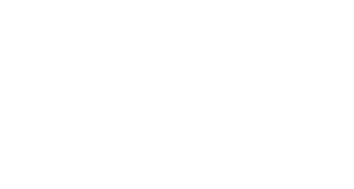 イラストの海の仲間たち