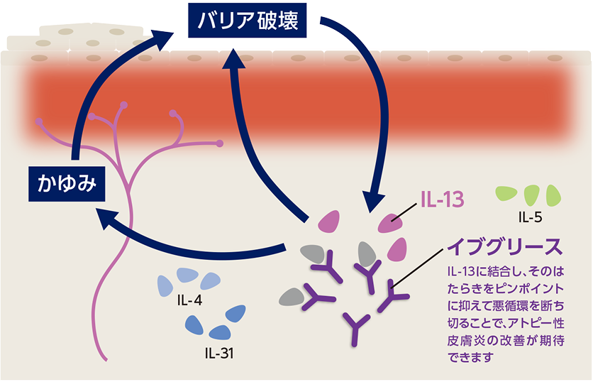イブグリース 作用